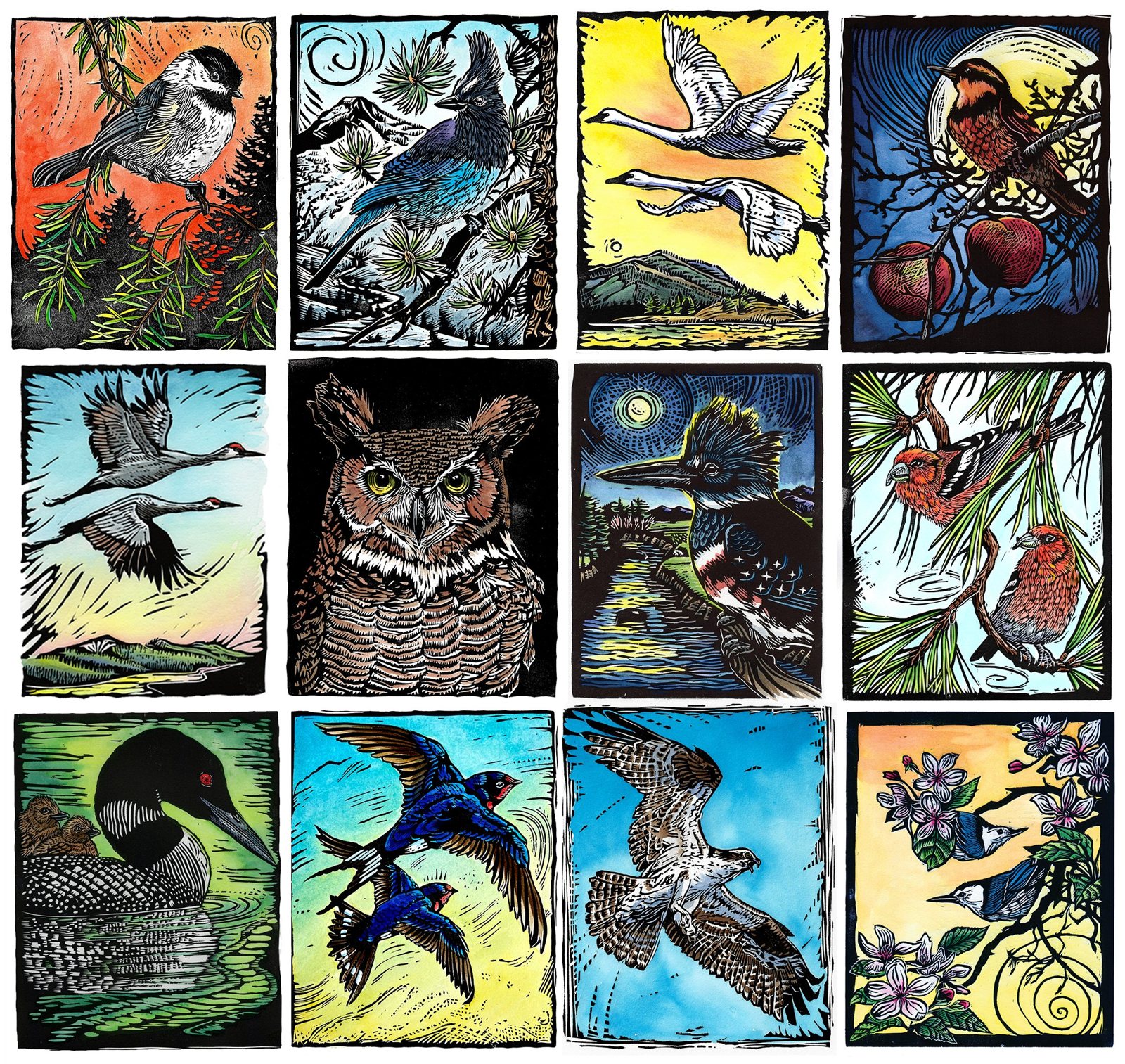 Bird lovers notecard pack