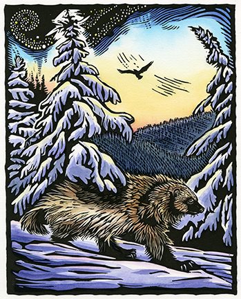 Wolverine, December